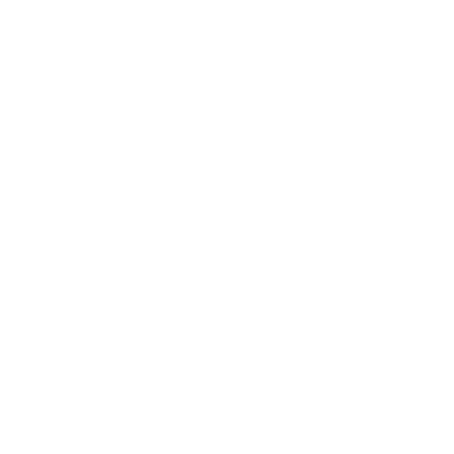 Wild & Rooted Embodiment Guidance